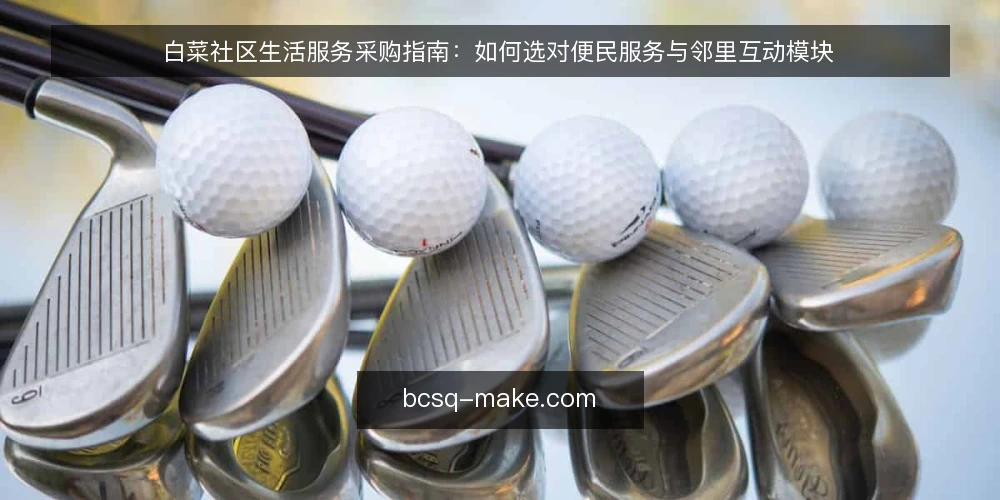 白菜社区生活服务采购指南：如何选对便民服务与邻里互动模块 — 社区服务采购的常见痛点 配图