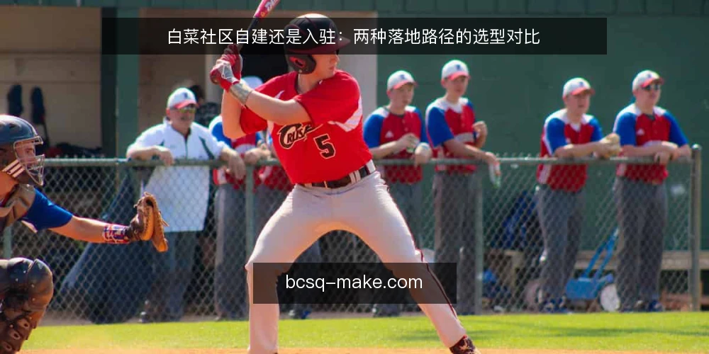 白菜社区自建还是入驻:两种落地路径的选型对比 — 先厘清落地需求:自建还是入驻 配图