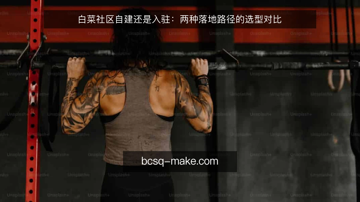 白菜社区自建还是入驻：两种落地路径的选型对比