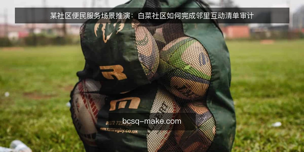 某社区便民服务场景推演：白菜社区如何完成邻里互动清单审计 — 为什么现在要审计便民指南与邻里互动 配图