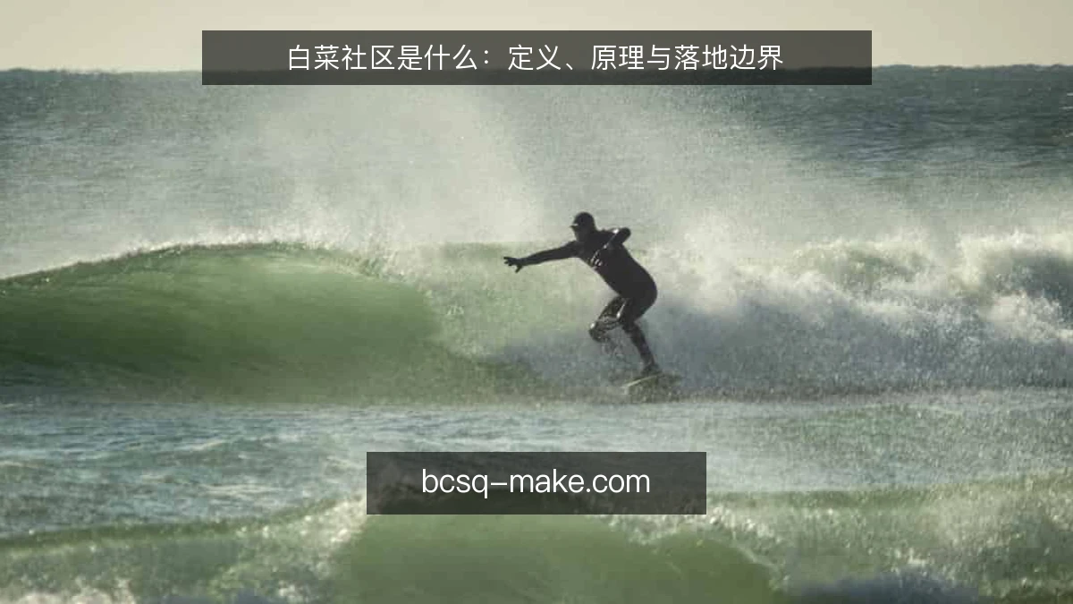 白菜社区是什么：定义、原理与落地边界