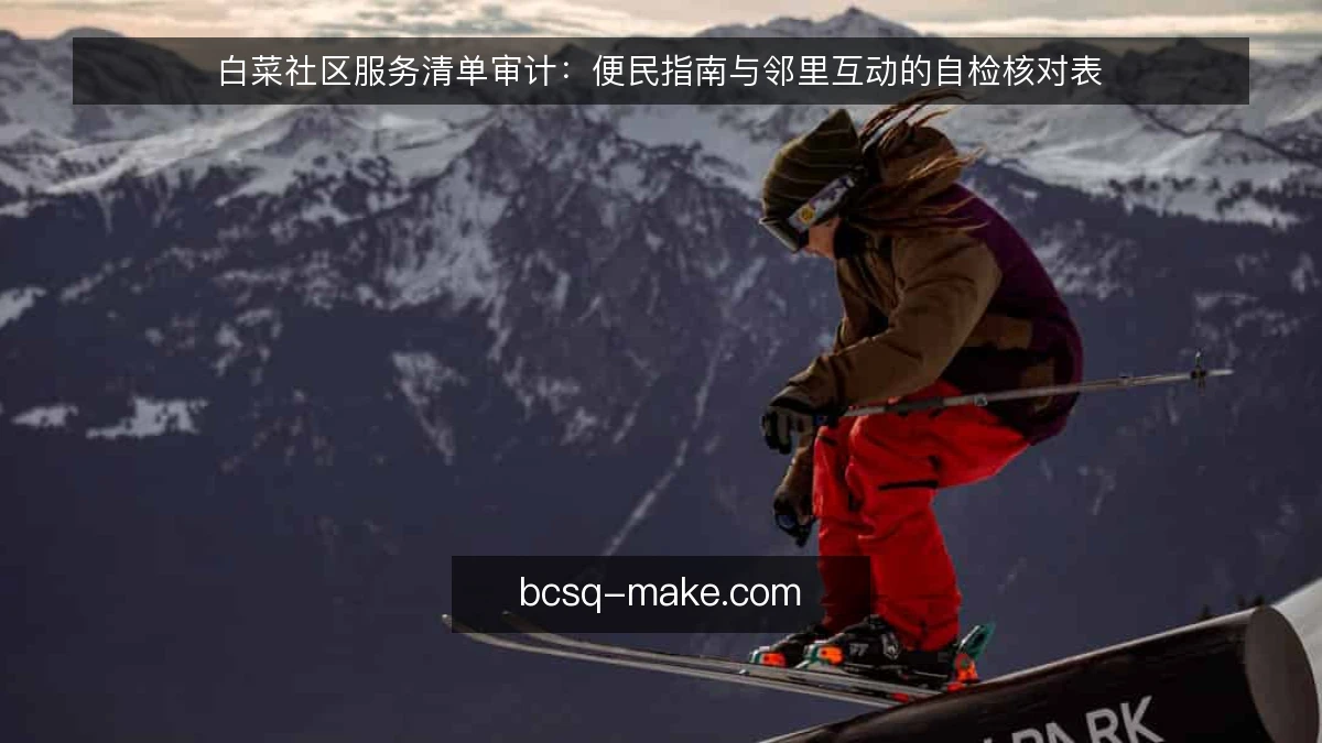 白菜社区服务清单审计：便民指南与邻里互动的自检核对表