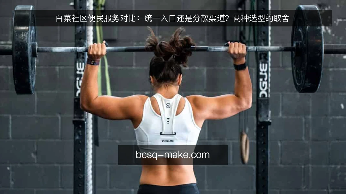 白菜社区便民服务对比：统一入口还是分散渠道？两种选型的取舍