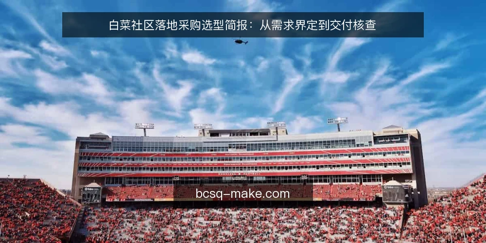 白菜社区落地采购选型简报：从需求界定到交付核查 — 需求界定：先明确白菜社区落地的评估范围 配图