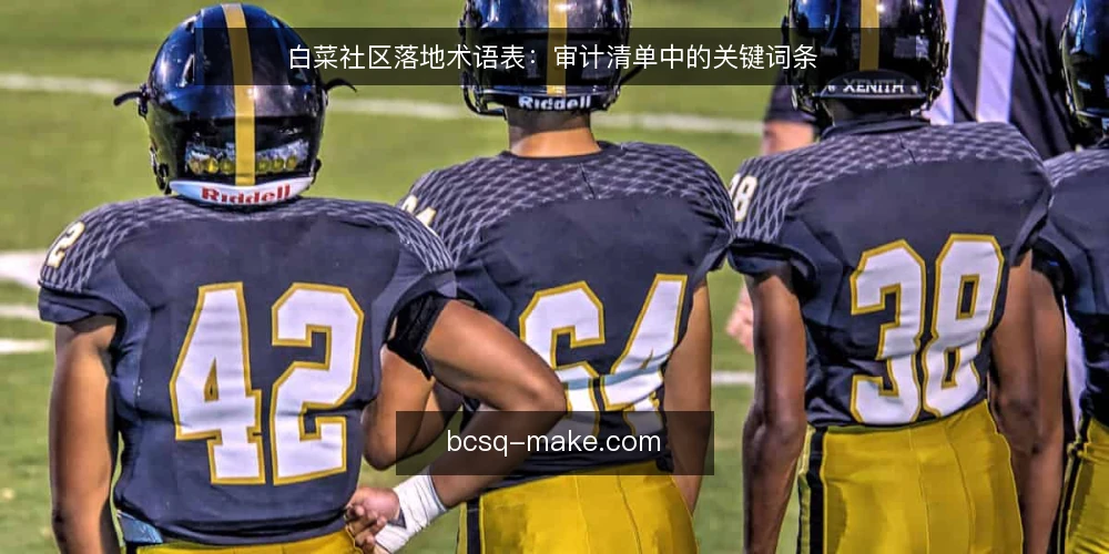 白菜社区落地术语表：审计清单中的关键词条 — 为什么现在需要术语审计 配图