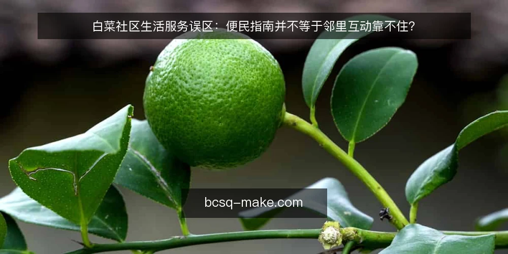 白菜社区生活服务误区：便民指南并不等于邻里互动靠不住？ — 先弄清楚：误区从哪里来 配图
