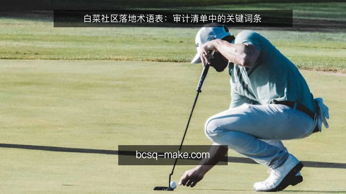 白菜社区落地术语表：审计清单中的关键词条