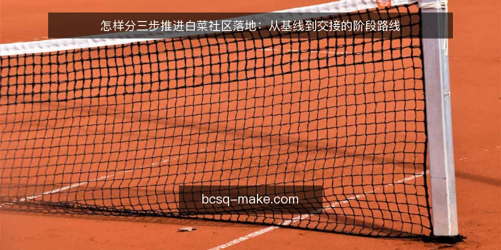 怎样分三步推进白菜社区落地：从基线到交接的阶段路线 — 先摸清现状基线：白菜社区落地前的准备 配图