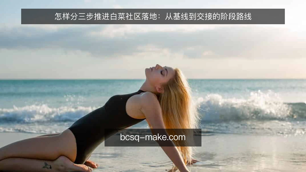 怎样分三步推进白菜社区落地：从基线到交接的阶段路线