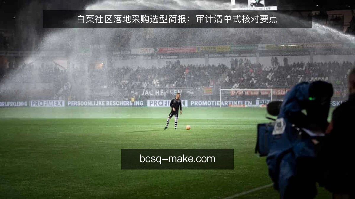 白菜社区落地采购选型简报：审计清单式核对要点