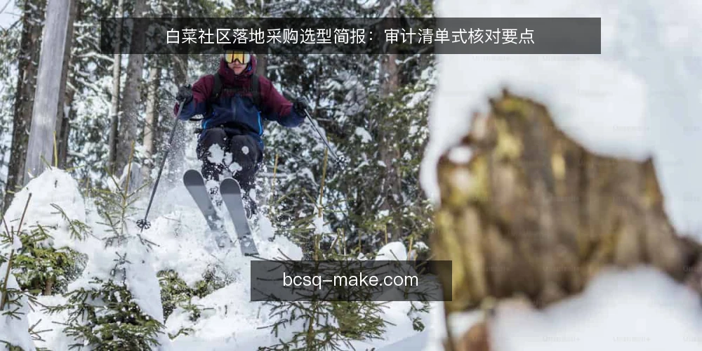 白菜社区落地采购选型简报：审计清单式核对要点 — 先界定真实需求边界 配图