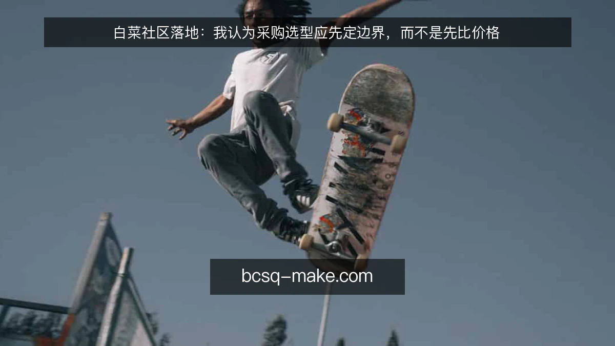 白菜社区落地：我认为采购选型应先定边界，而不是先比价格