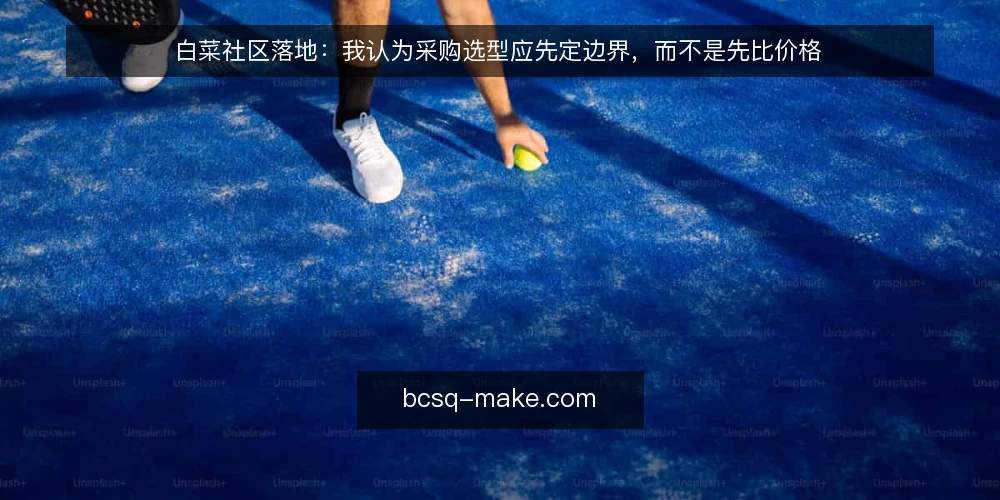 白菜社区落地：我认为采购选型应先定边界，而不是先比价格 — 先界定需求边界：白菜社区落地要解决什么问题 配图