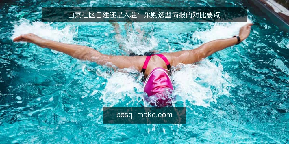 白菜社区自建还是入驻:采购选型简报的对比要点 — 需求界定:先写清要解决什么 配图
