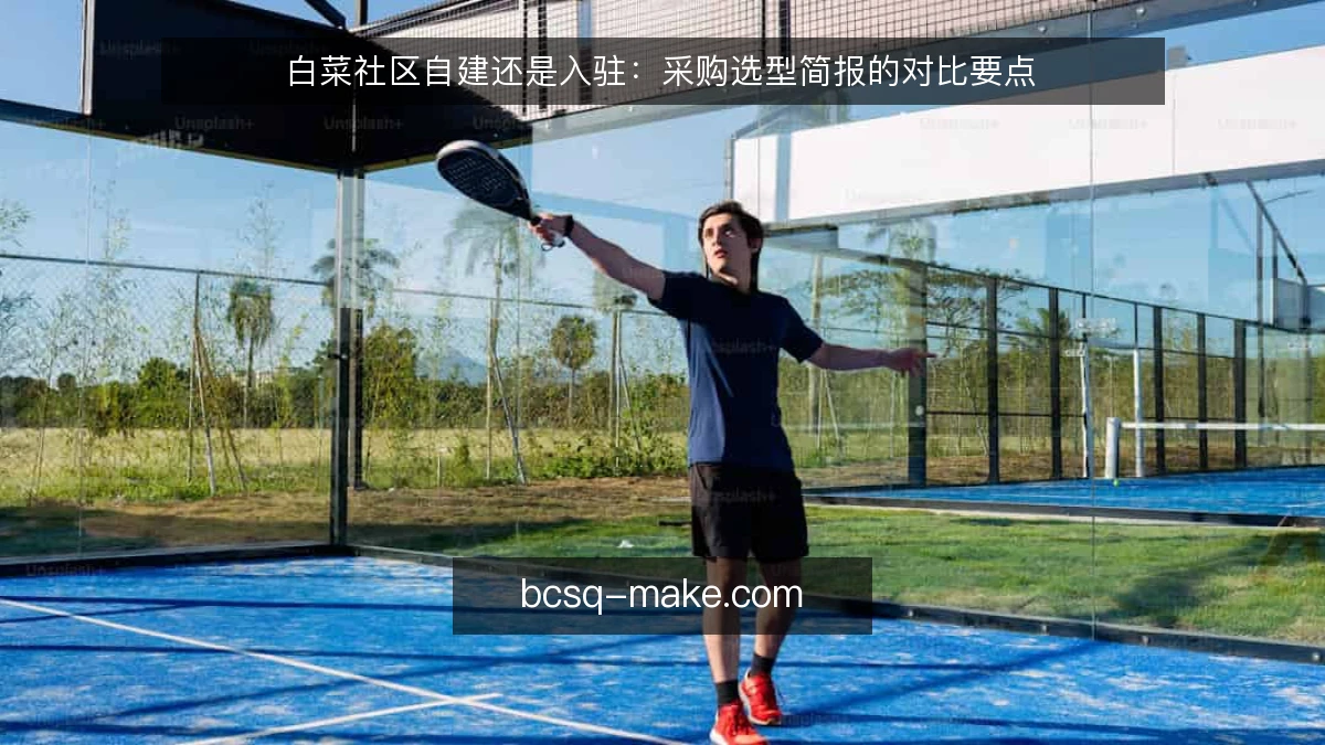 白菜社区自建还是入驻:采购选型简报的对比要点